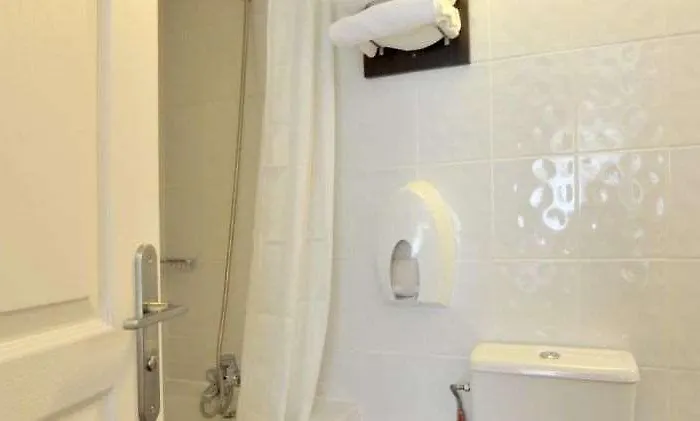 Brit Confort Lyon Hotel Dardilly